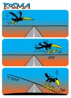 /album/kosma/ptak-kosma-3-jpg/